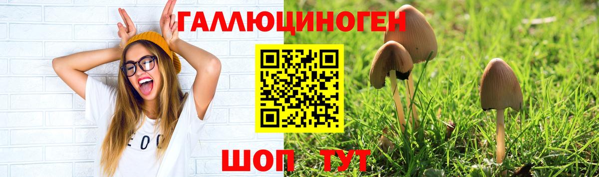 Галлюциногенные грибы MAGIC MUSHROOMS Анапа